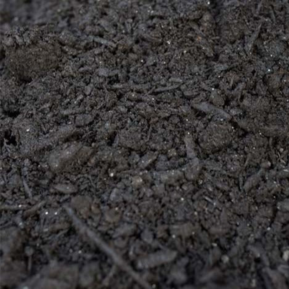 Leaf Compost