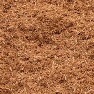 Cedar Mulch